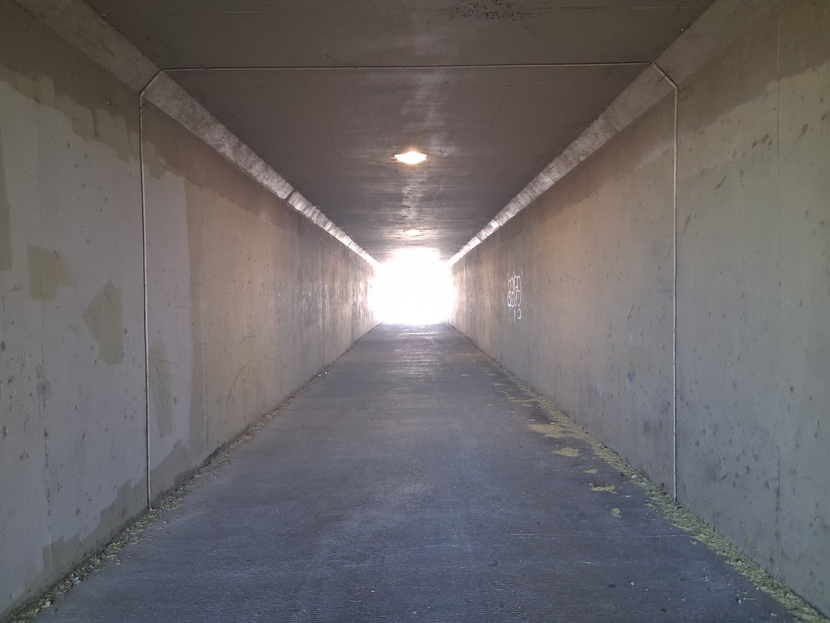 Zeitresu tweet media