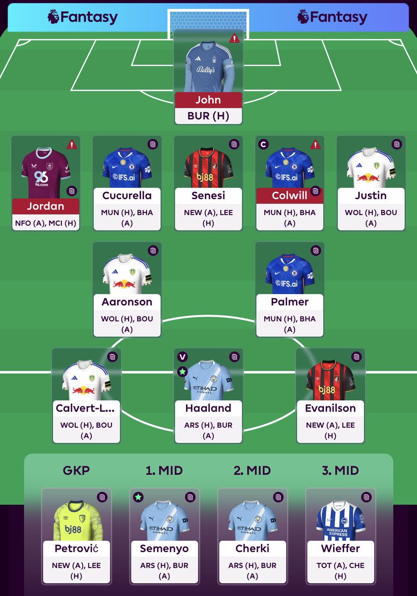 FPL Pigeon (Tommy) tweet media