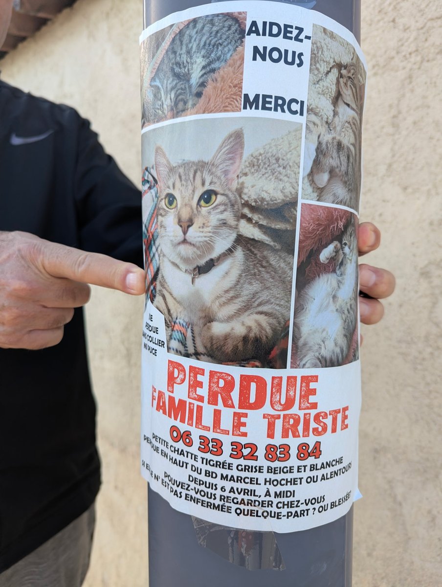 Carabona11 tweet media