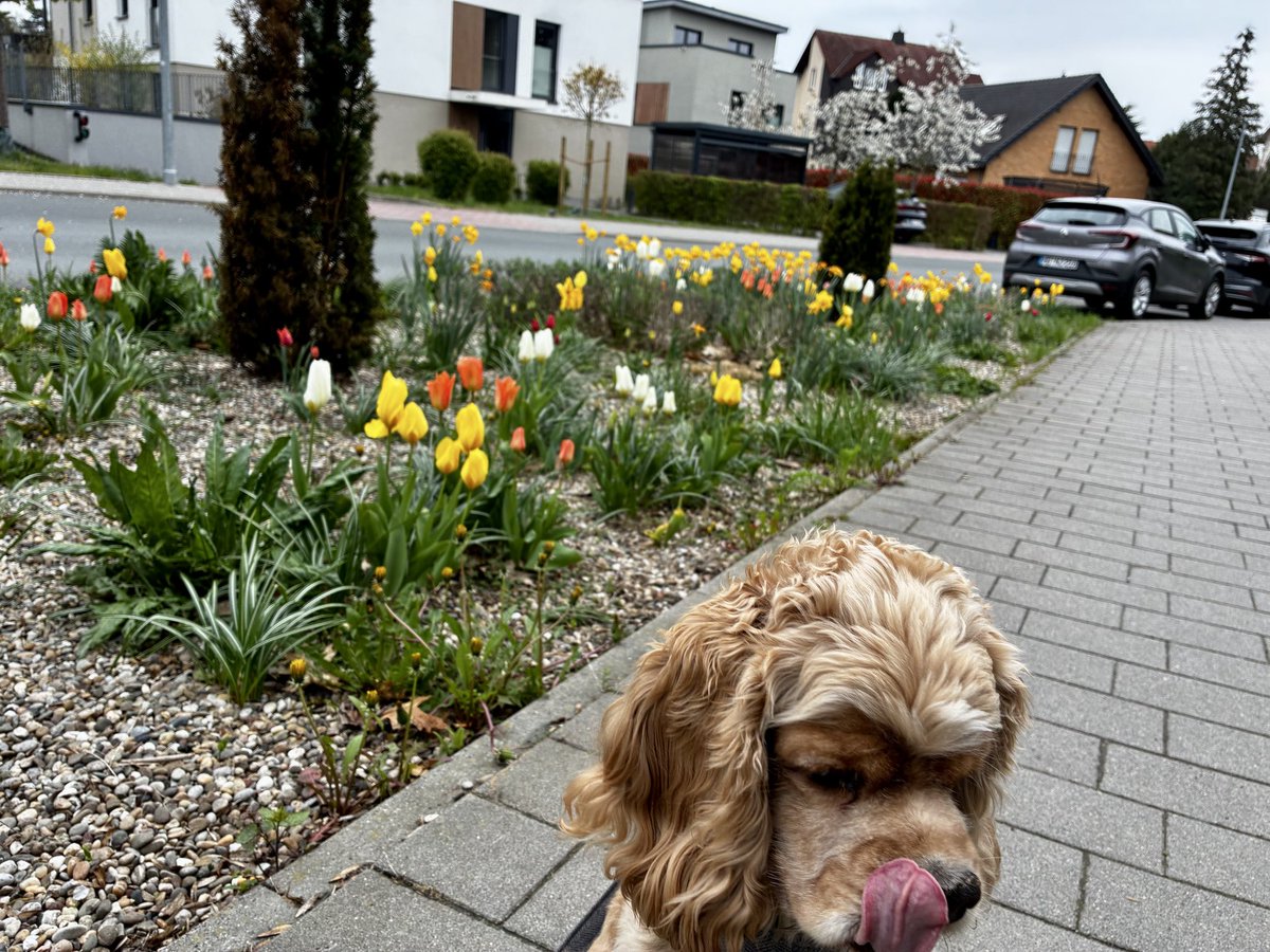 Emi 🎹右手の故障完治✨ tweet media