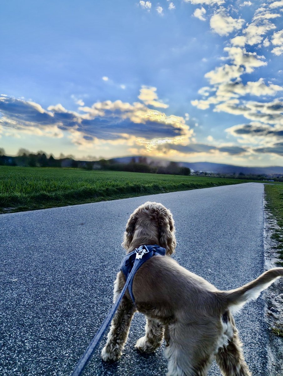 Emi 🎹右手の故障完治✨ tweet media