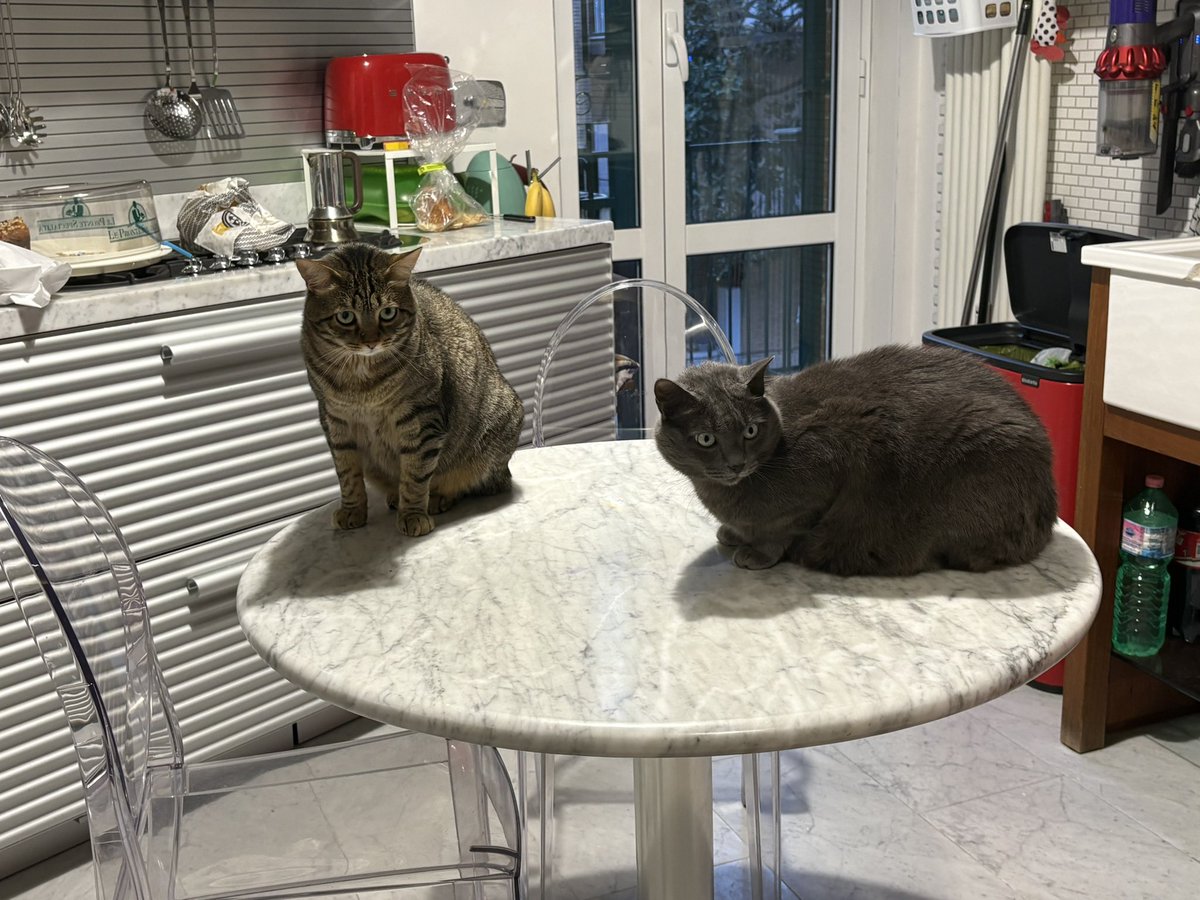 🍉Paola, perplessa tweet media