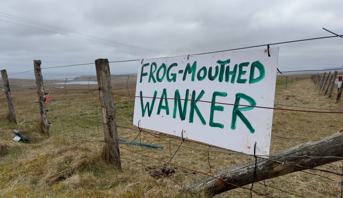 Parody Nigel Farage tweet media