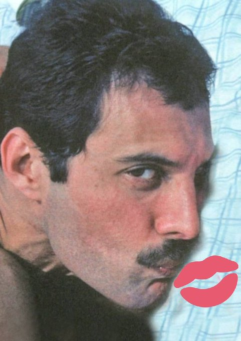 ⚜️🏳️‍🌈🏳️‍🌈Freddie 🏳️‍🌈🏳️‍🌈⚜️ tweet media