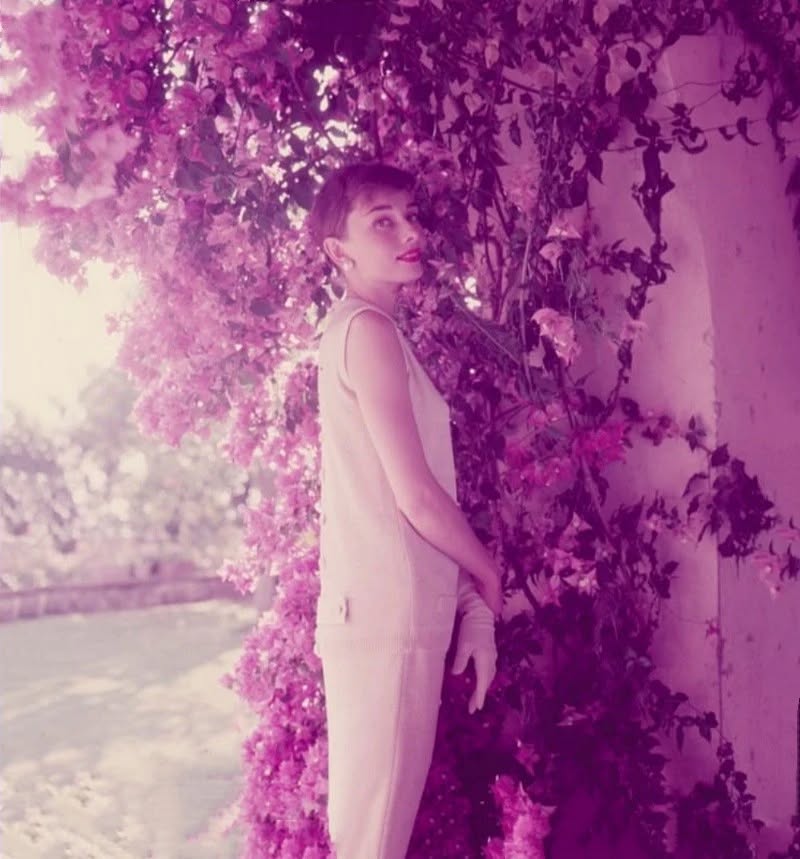 Audrey Hepburn tweet media
