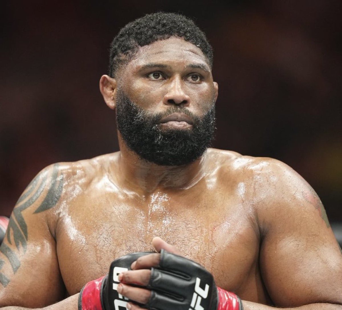 Chicken King MMA tweet media