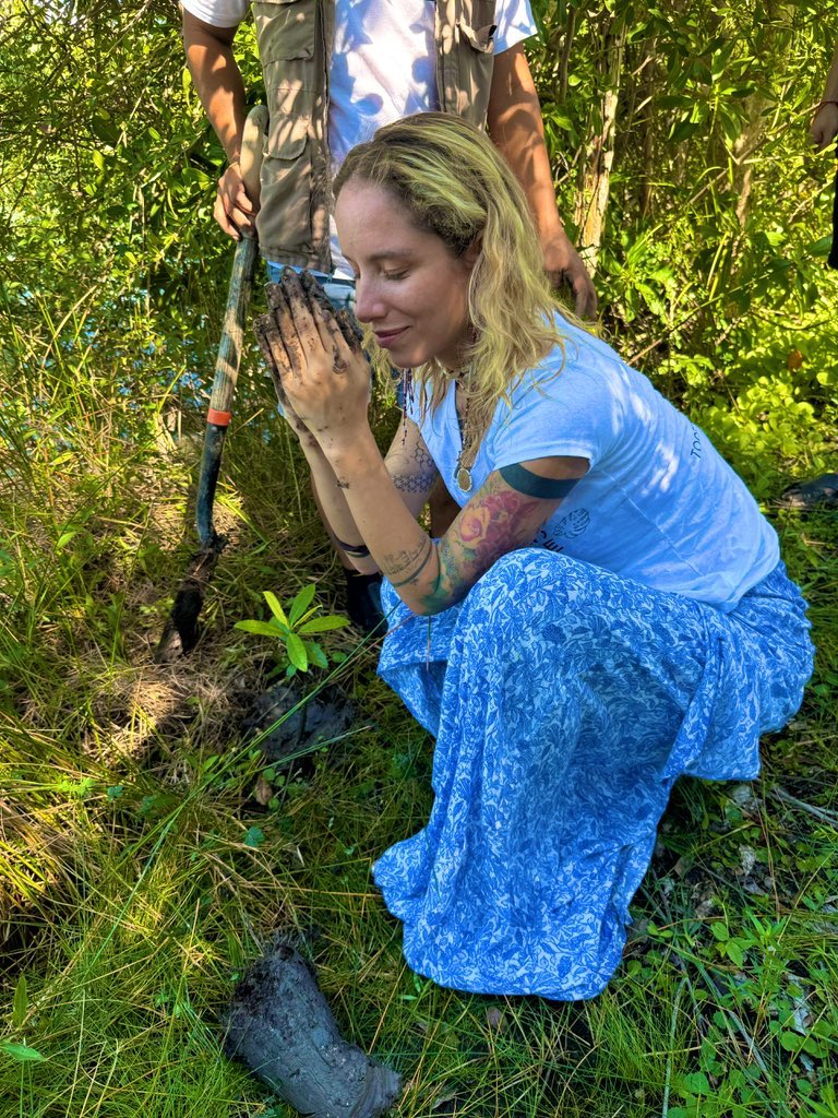 Treegens tweet media