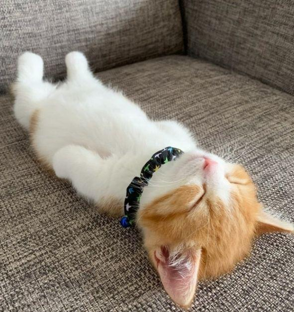 TOO DEEP TO QUIT - Wishlist on STEAM tweet media