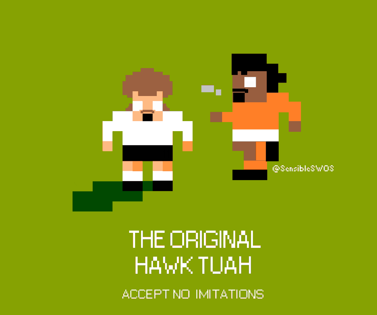 Sensible Soccer tweet media