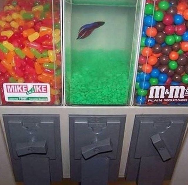 val 🎀 tweet media