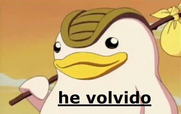 𝐒σ𝐍ᶰყ  tweet media