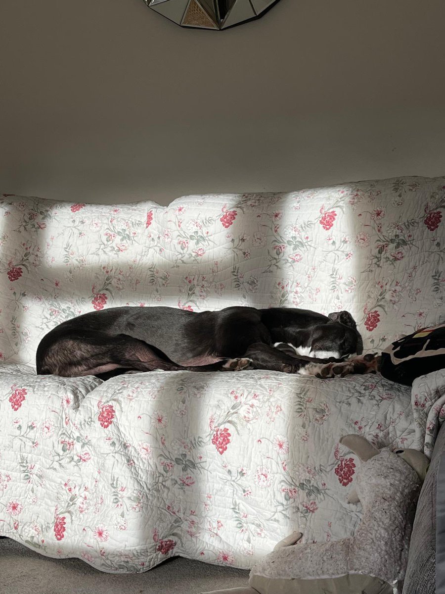 Terry Protheroe tweet media