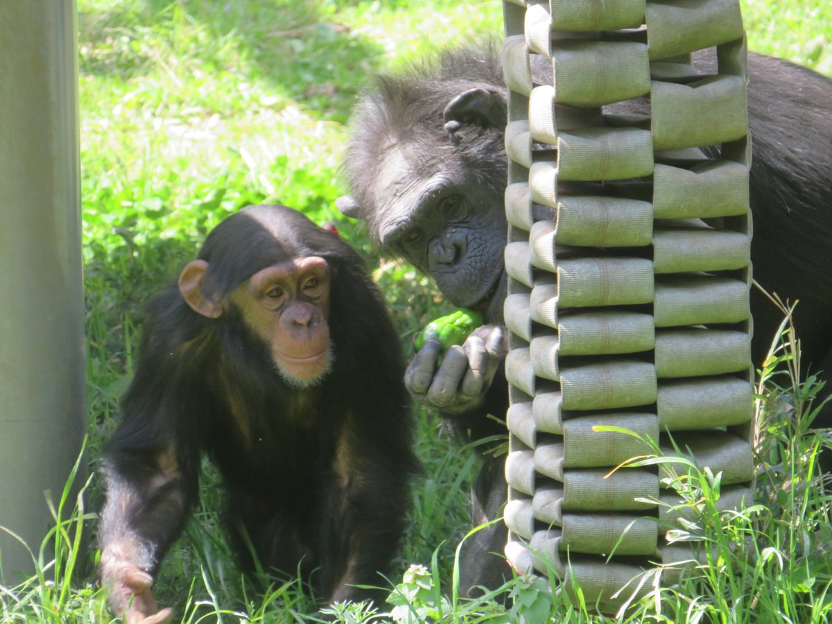 溝上万里央 tweet media