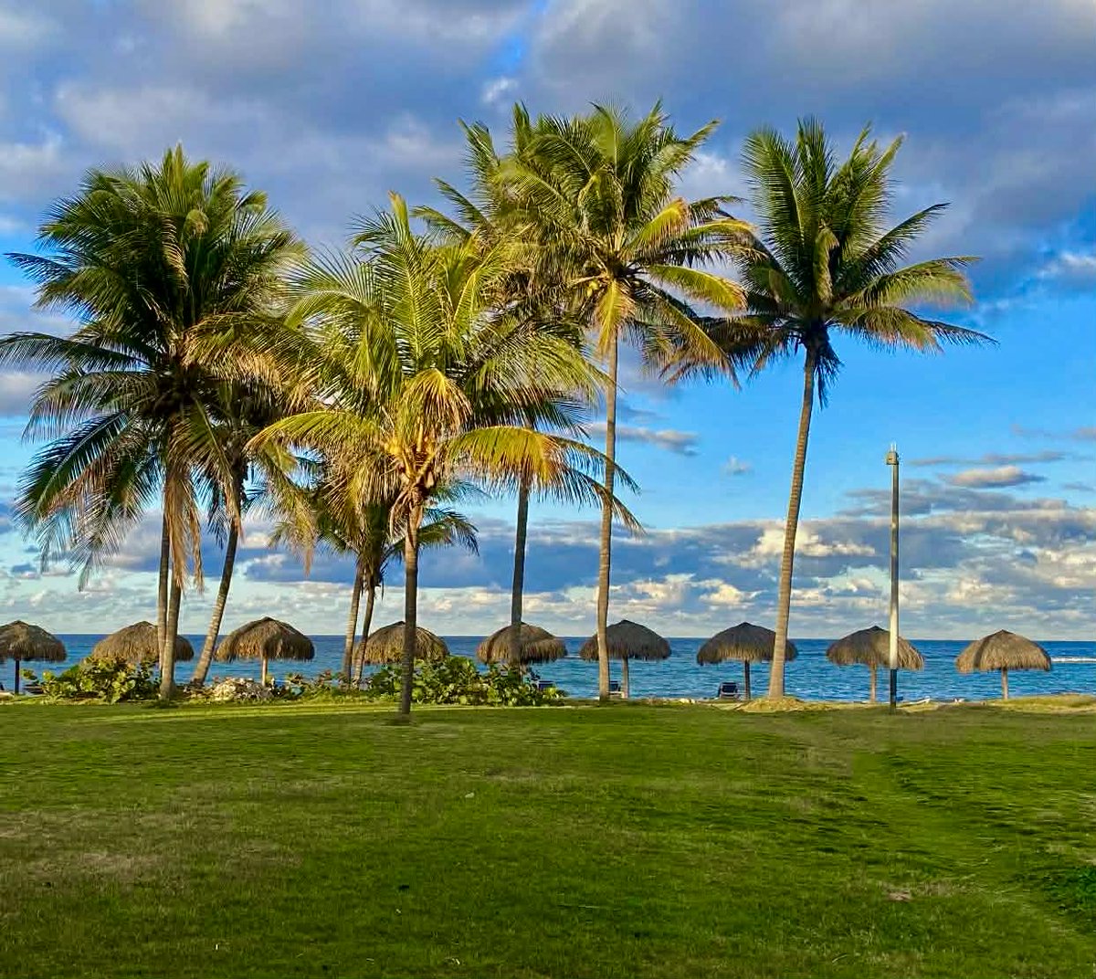 manitoulinmagic's tweet photo. A2 #TRLT We are open to travelling anywhere but for the time being, not to or from the USA. We have skipped cruises leaving to and from the US over the past few years .... but especially now. Next trip in May is to England and France. We love our trips to Cuba every January. https://t.co/qDeA0a9BJw