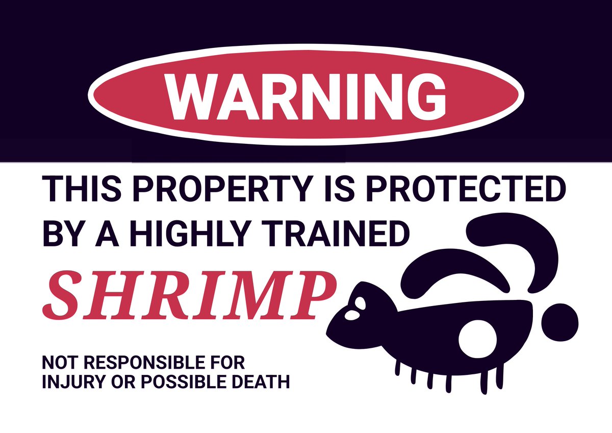 shrimpi 🍤 tweet media