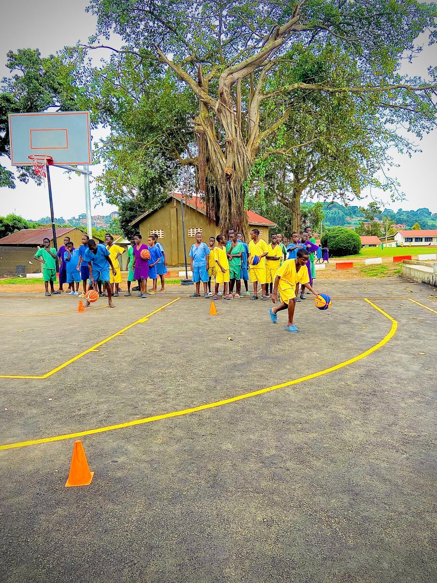 Budo Junior School tweet media