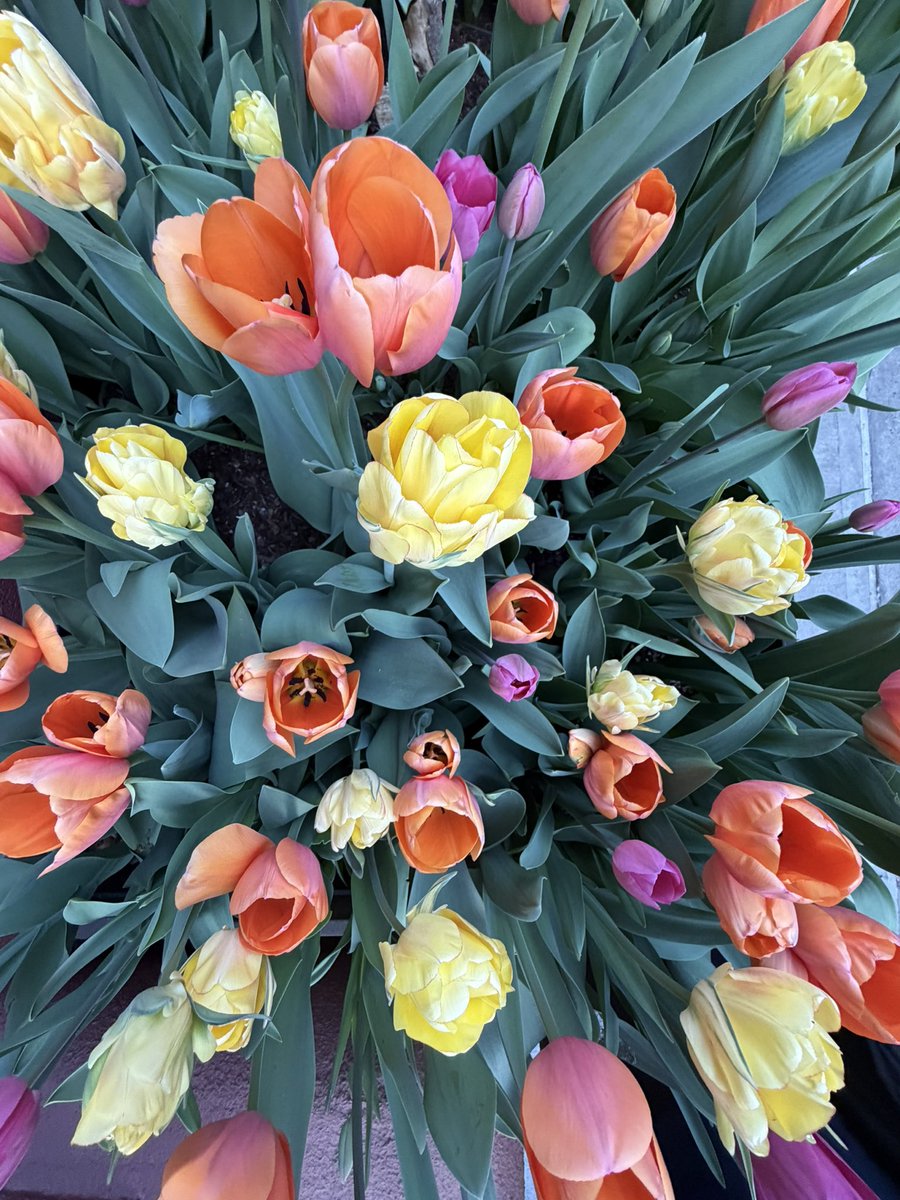 whtd u just put into a bottel? tweet media