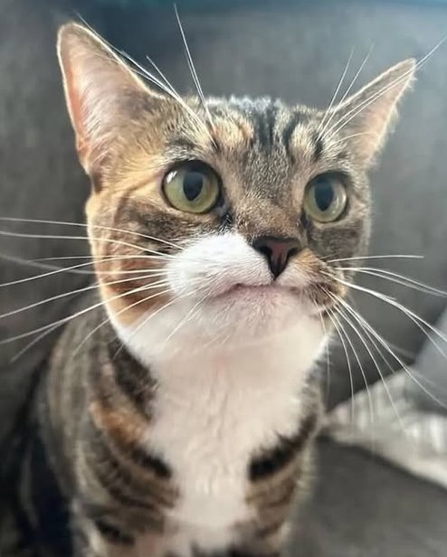 Kaynak Haber tweet media