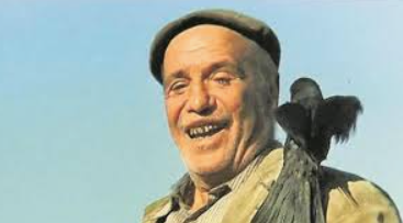 rvalerob tweet media