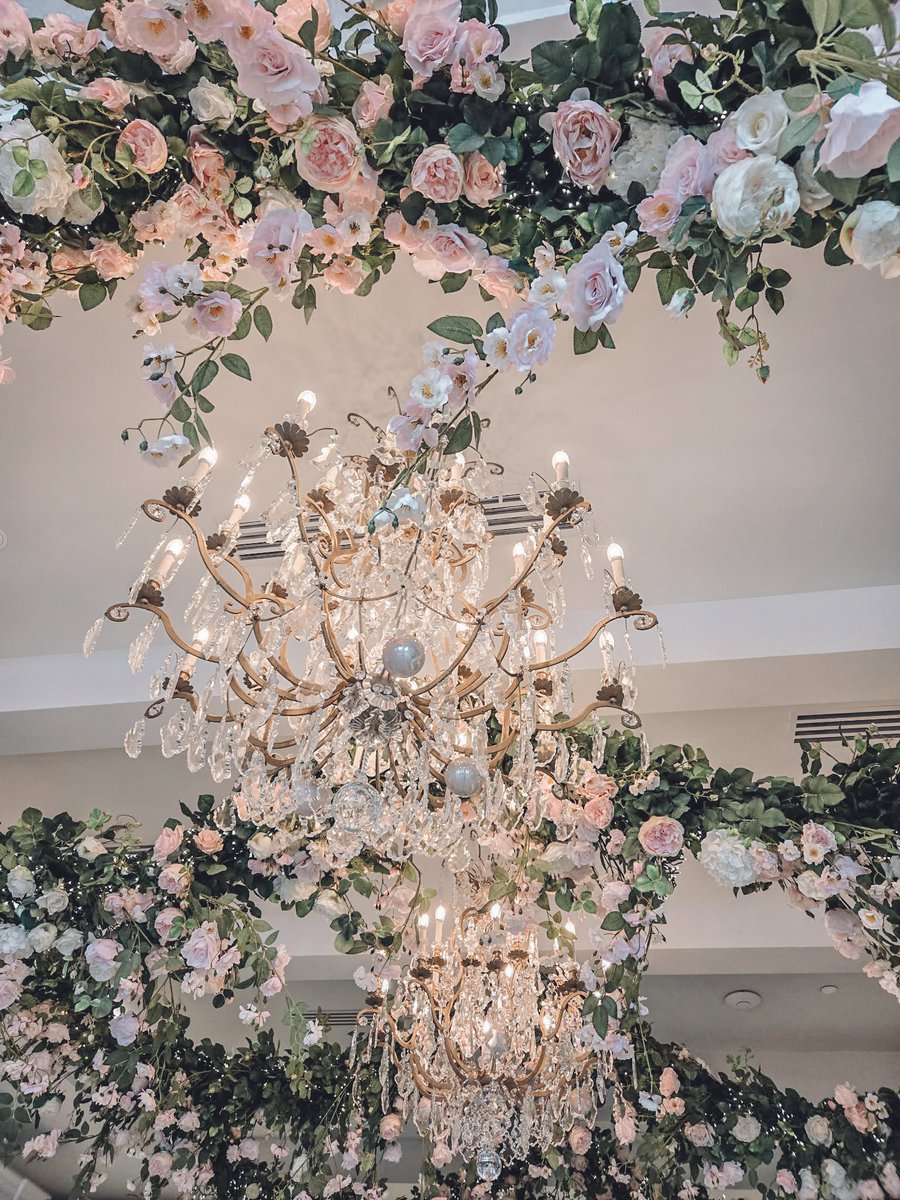 Hales⋅𐙚 tweet media