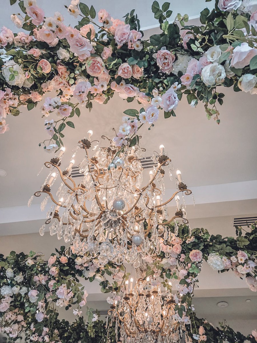 Hales⋅𐙚 tweet media