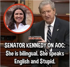 realSRVictorero's tweet photo. @Bubblebathgirl IMHO, #NUTCASE @AOC is irrelevant and she has become an attention whore. https://t.co/ekYvgMMtBy