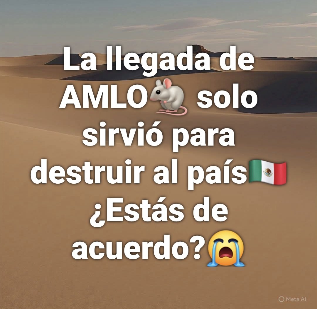 Don Insensato tweet media