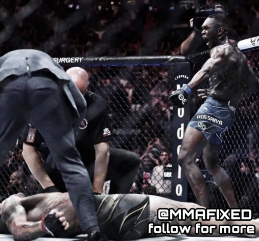 MMA FIXED tweet media