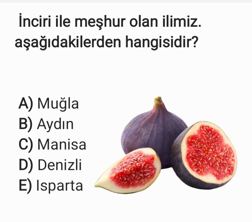 Tarih & Coğrafya tweet media