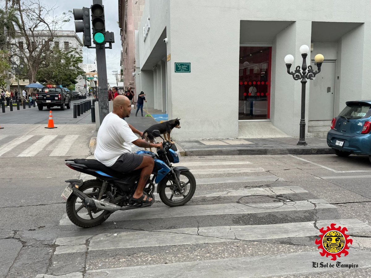 Out Of Context Tampico tweet media