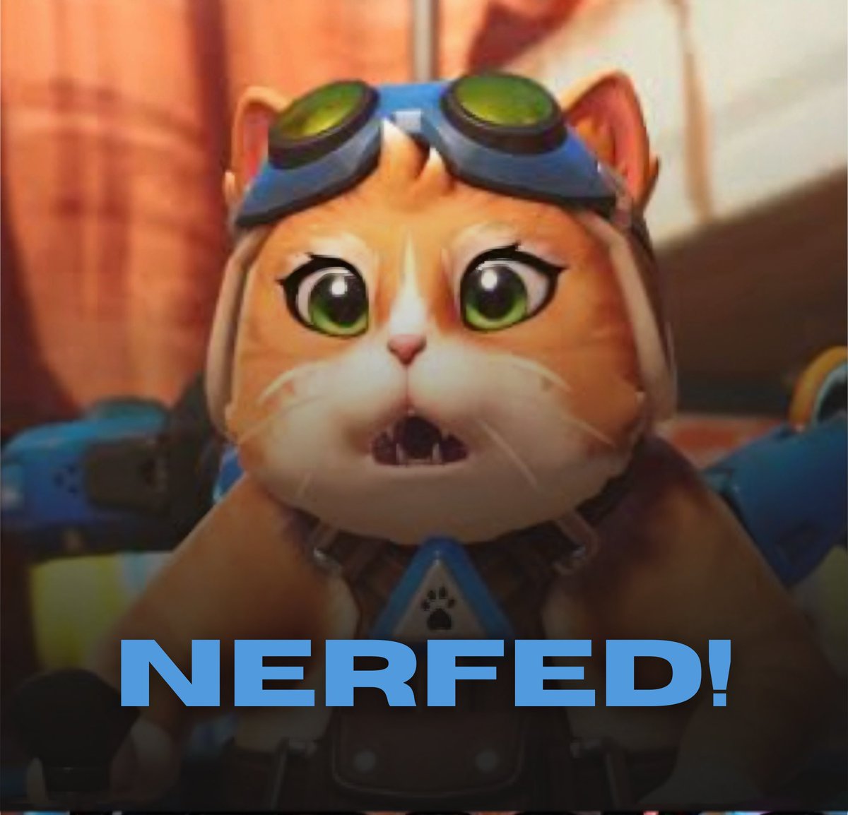 Jetpack Cat Updates 🐾 🐈 tweet media