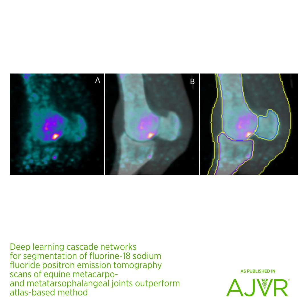 AJVROA's tweet image. Accurate and robust #segmentation of PET fetlocks enables more accurate analysis and novel insights into lesion characterization. 🐎 Open access article: jav.ma/fetlock2 #AI #CNN #medicalimage