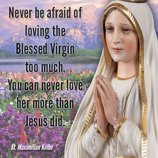 AmericaNFatima's tweet image. “Never be afraid of loving the Blessed Virgin too much. You can never love her more than Jesus did.” — St. Maximilian Kolbe

❤️ The surest way to Jesus is through His Mother.

#Mary #Catholic #StMaximilianKolbe #Faith #Jesus