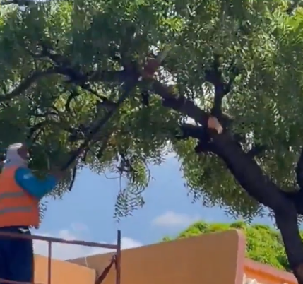 ZacWhiteEC tweet media