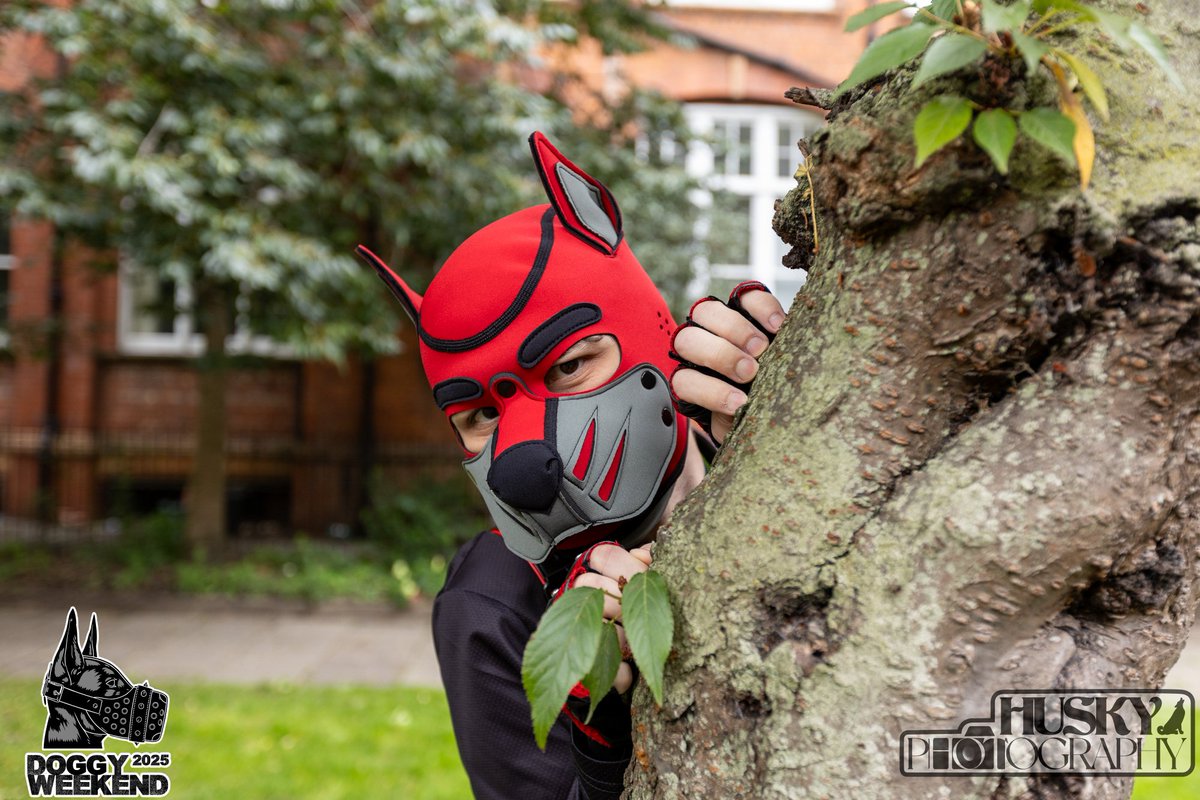RedWolfPupper's tweet photo. Doggy Weekend 2025, it me and a tree. https://t.co/Ulqx5j2l4Q