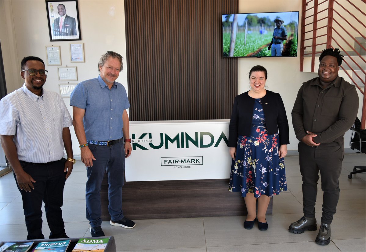 EU Delegation to Zimbabwe 🇪🇺 tweet media