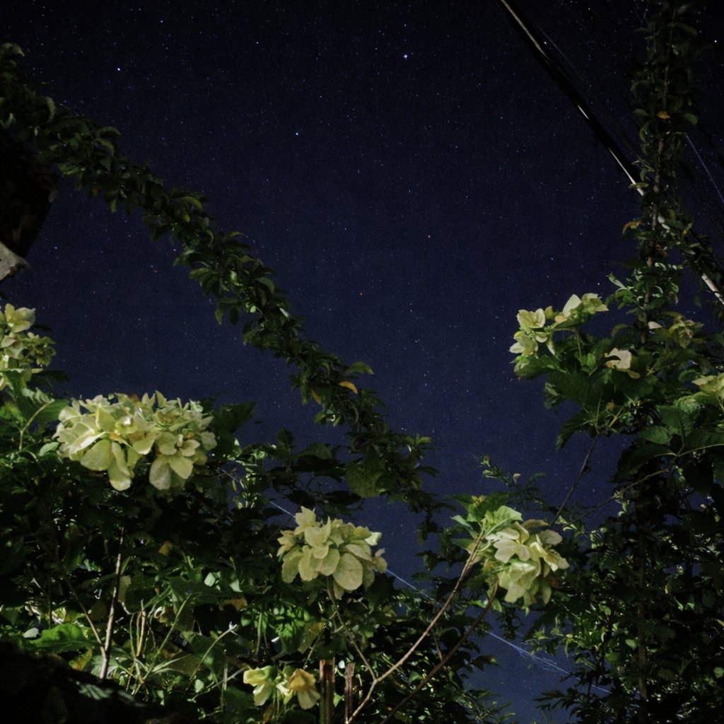 pino𝄞♡ tweet media