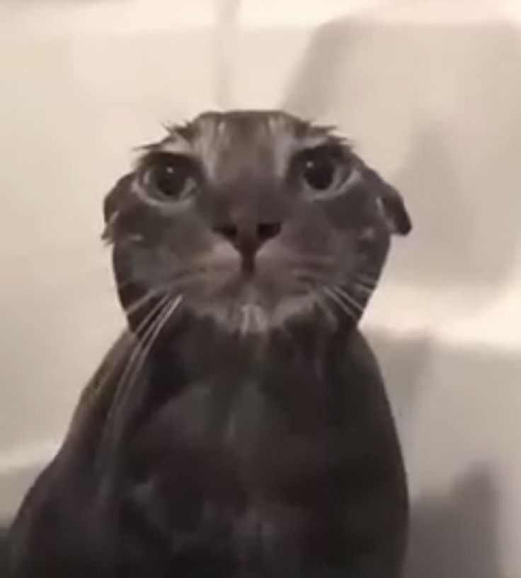 Souldrivenhate (coffee addict) tweet media