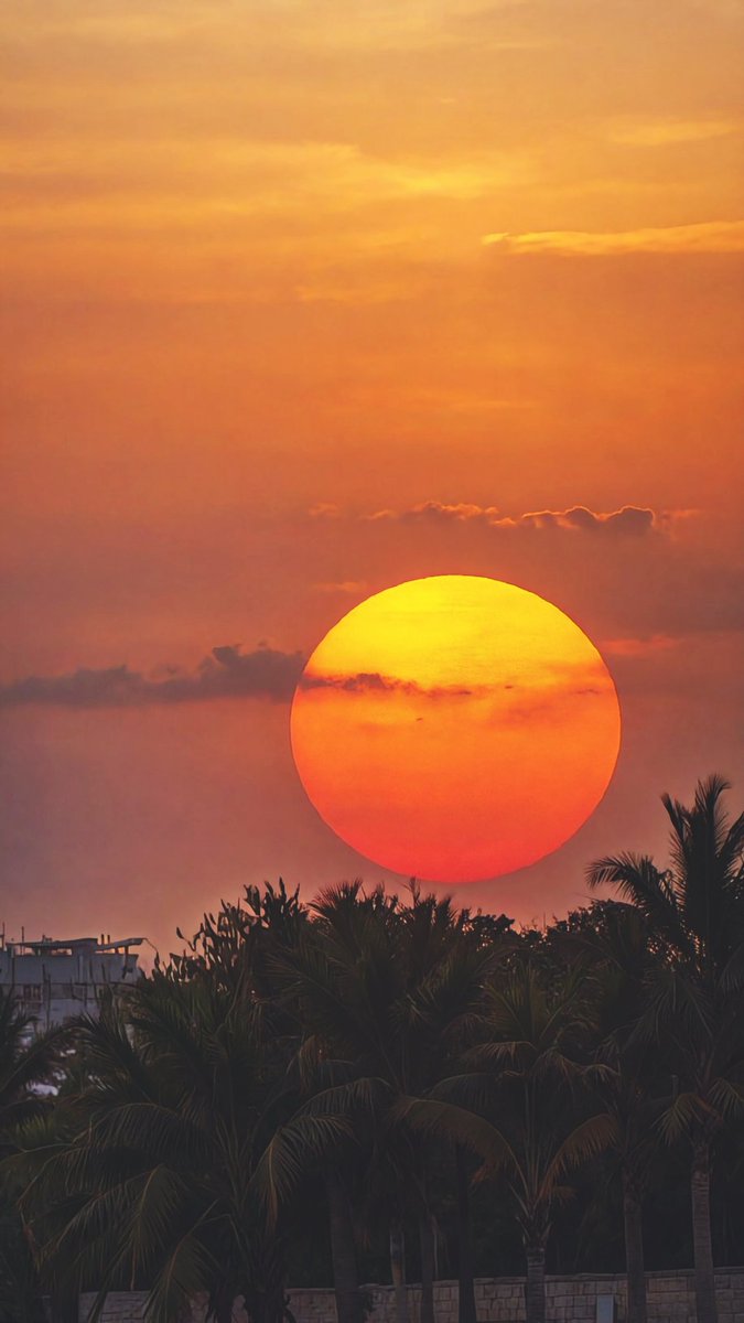 NeptuneX3's tweet image. #SUN