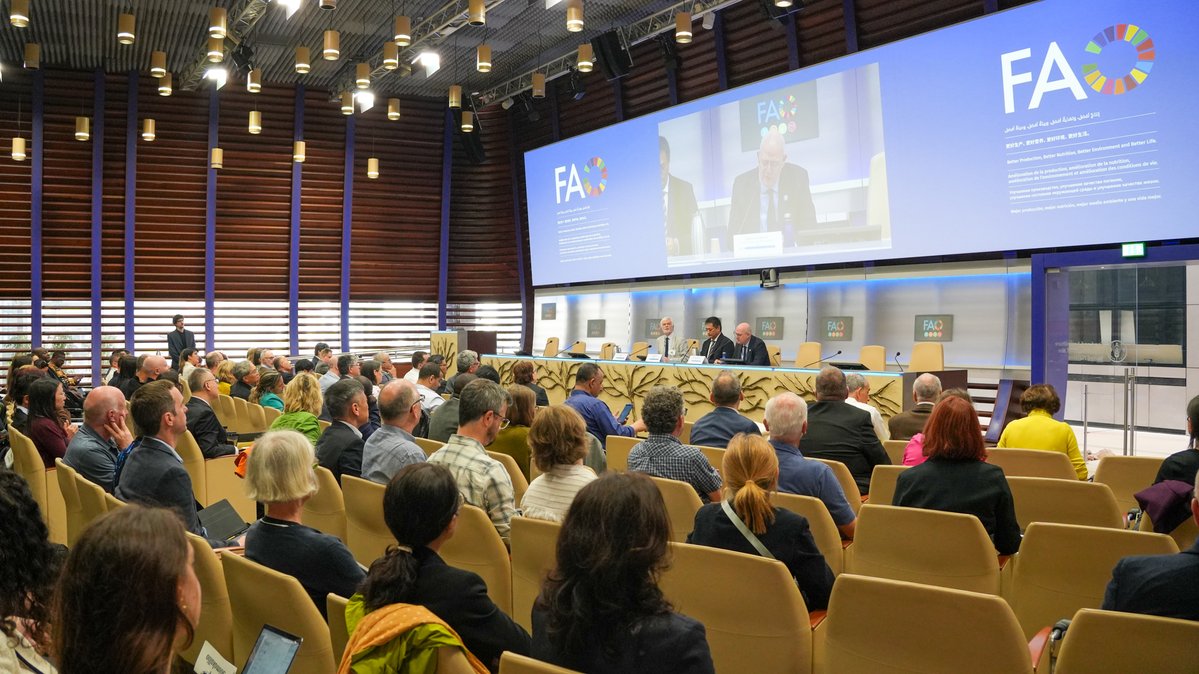 FAOclimate's tweet image. TODAY at @FAO Headquarters in Rome:

@IPCC_CH Lead Authors meet for the first time to discuss the 2027 IPCC Methodology Report on Carbon Dioxide Removal Technologies, Carbon Capture, Utilization &amp;amp; Storage for National GHG Inventories. 

#ClimateAction #COP31

@JimSkeaIPCC