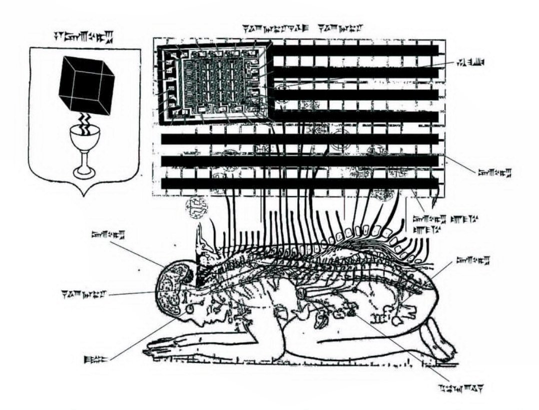 Sāmädhį £ïght tweet media