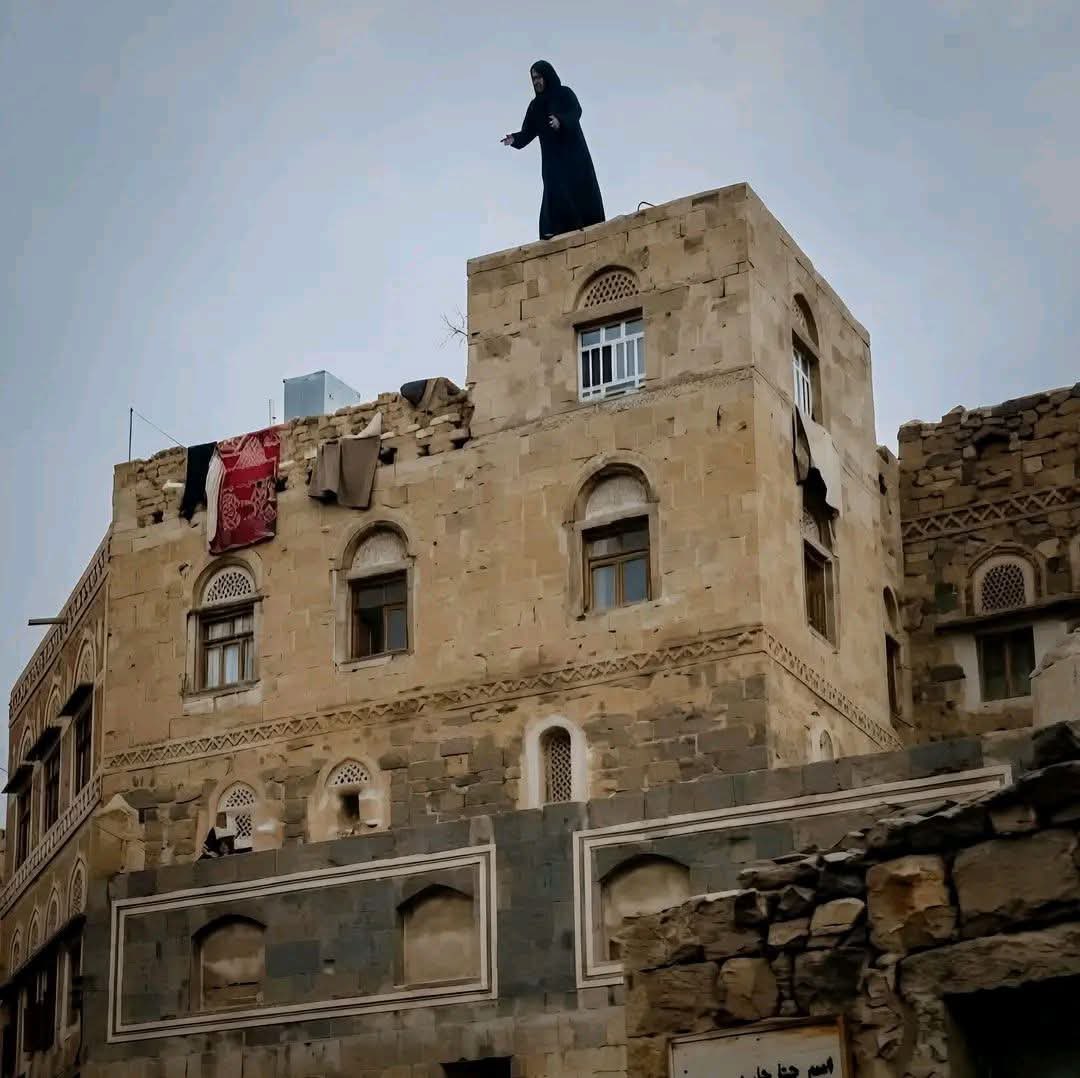 إبـــاء tweet media