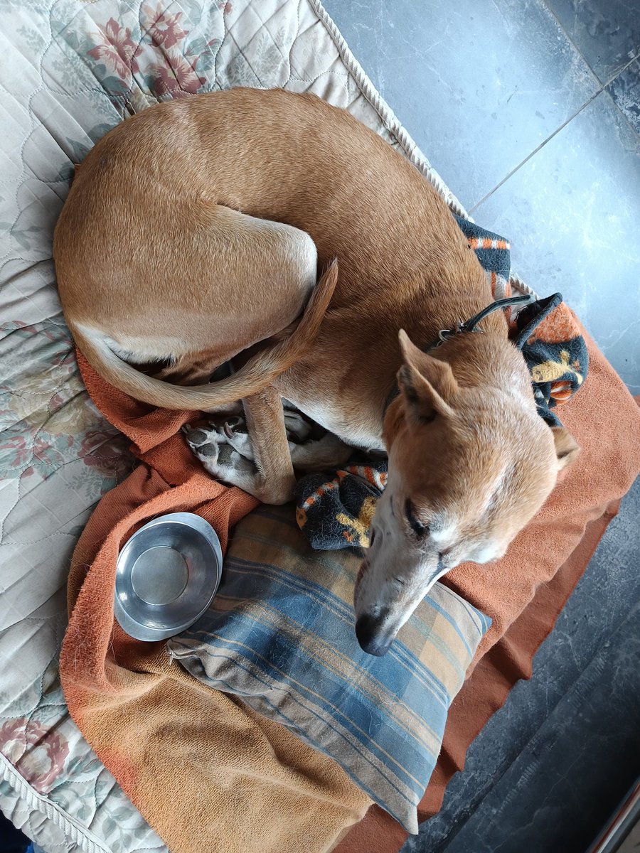 💜VaLe💜 tweet media