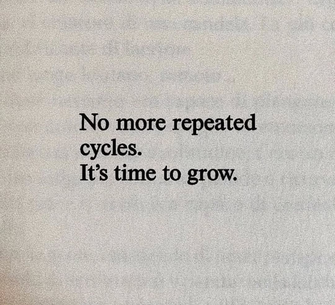 Seek Wiser tweet media