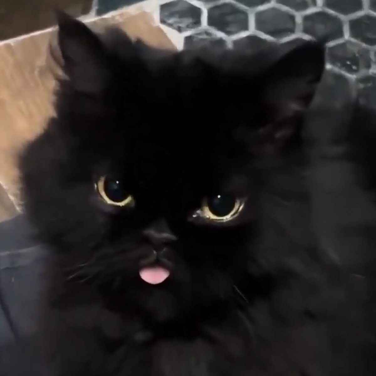 hyeokoyangi's tweet image. :p