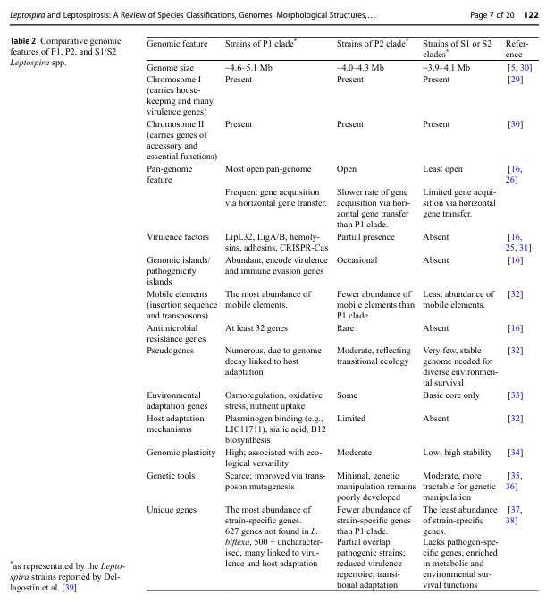 joseramosvivas's tweet image. LEPTOSPIRA ⚠️ Un review sobre las nuevas especies de Leptospira, ideal para clases de #Micro Clínica. 

¿Sabías que esta enfermedad causa más de 1 millón de casos y ~60.000 muertes al año? 🌍
Pues esta zoonosis sigue siendo una amenaza creciente. 🧵👇

🦠 ¿Qué es?
Una enfermedad