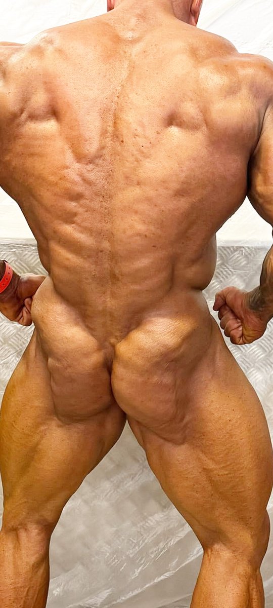 BodybuildingBACKSTAGE tweet media