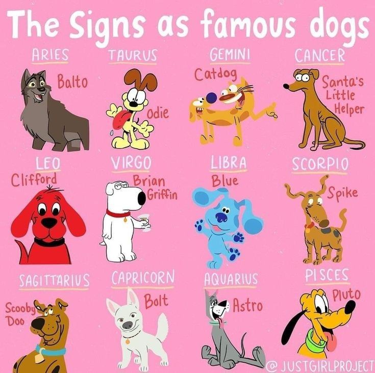 nana🐈‍⬛ enhypen is 7 !!!lcdtm tweet media