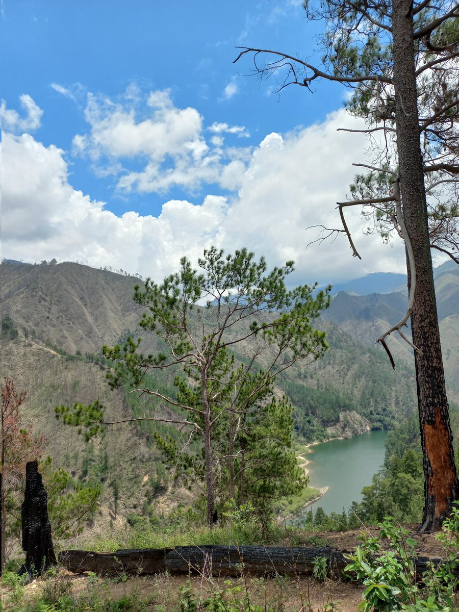 ElianaAriasG's tweet image. Presa de Palomino. #SanJuan #RD ⛰️🚶🏻‍♀️🇩🇴