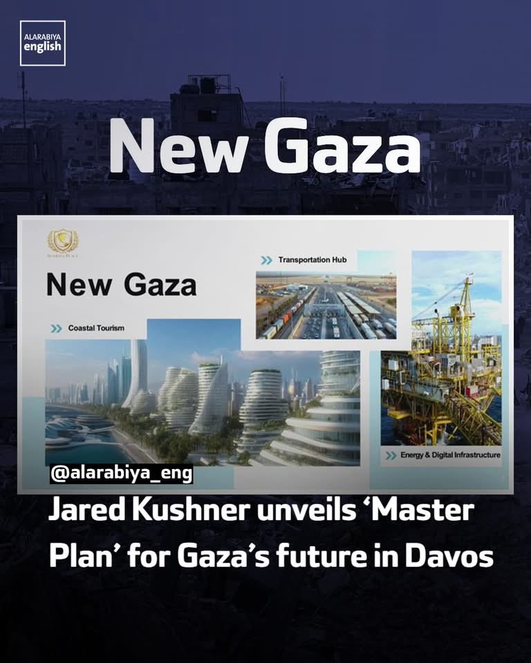 Rhonda Petrella tweet media